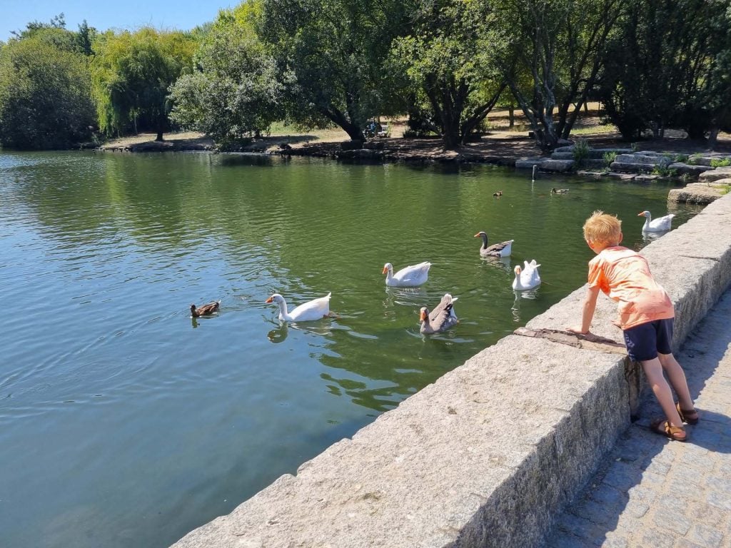 Porto Parque da cidade