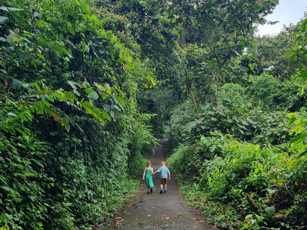 vulkaan Arenal NP