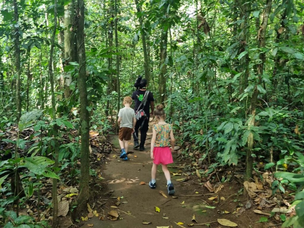 Eco Danaus
