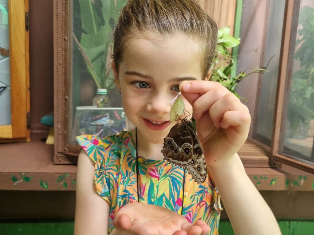 Eco Danaus