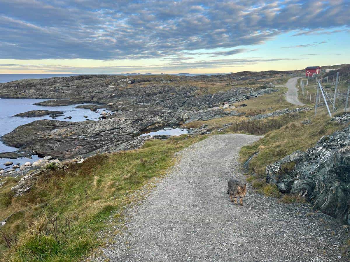 Haugesund wandeling