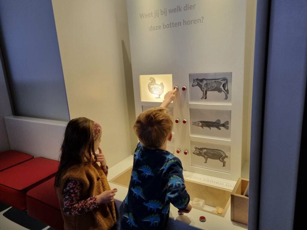 Limburgs Museum met kinderen