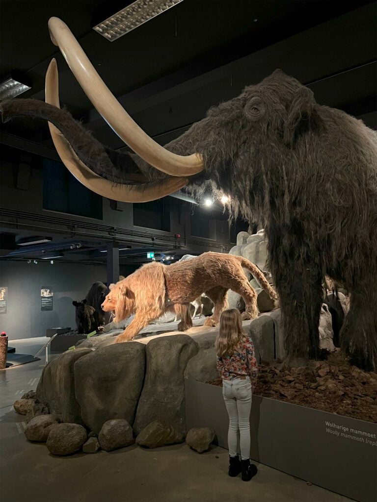 Natuurmuseum Brabant