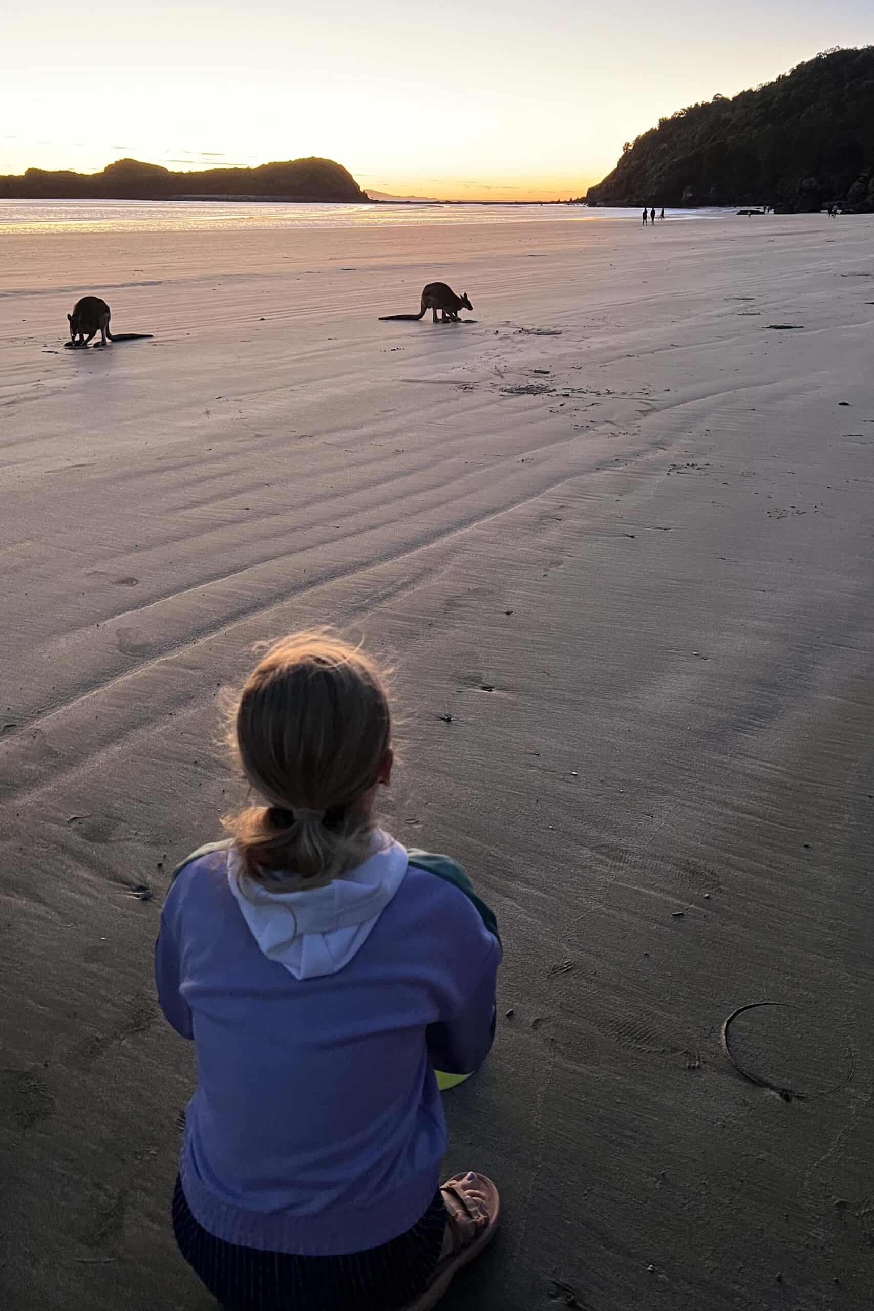 cape hillsborough