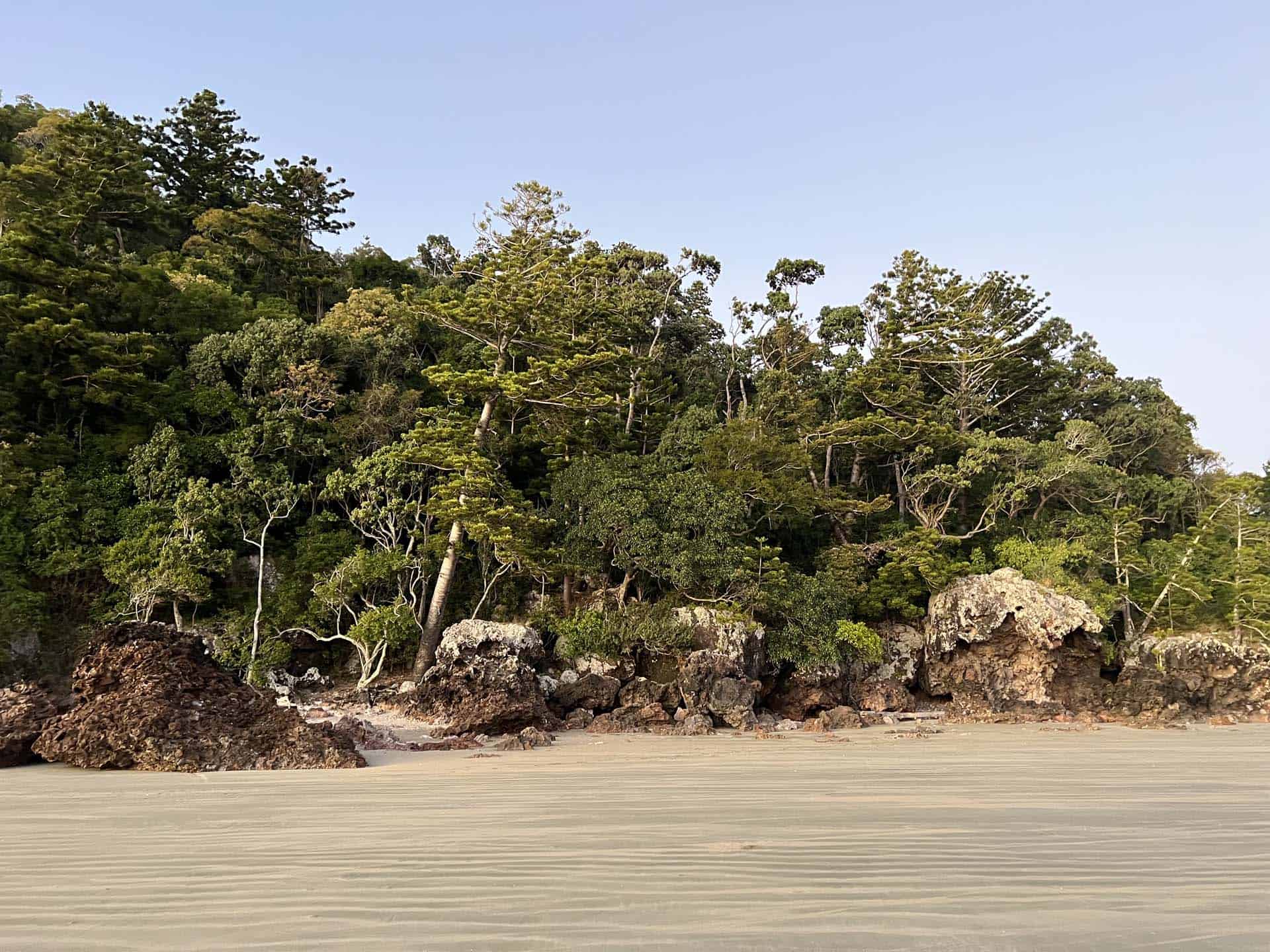 Cape hillsborough