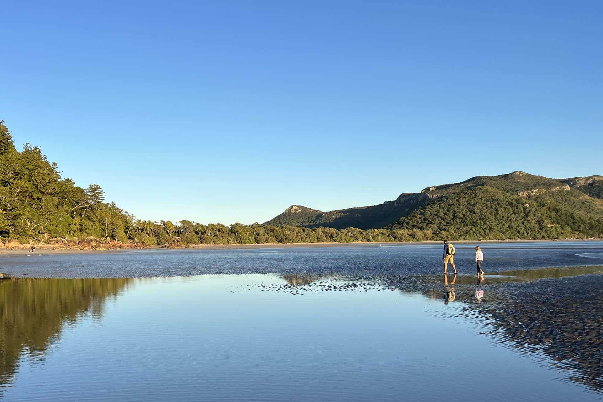 Cape hillsborough