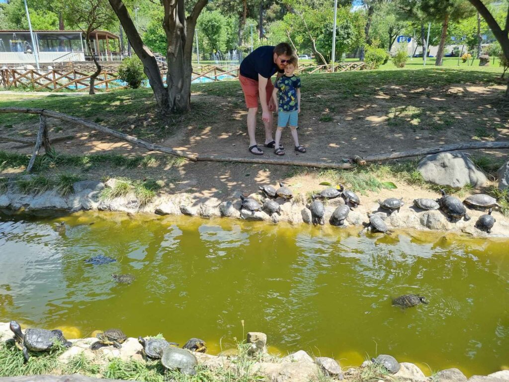 Park met schildpadden Thessaloniki