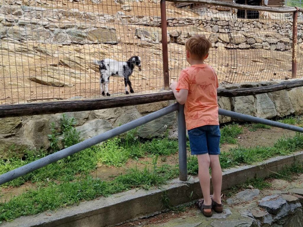 Thessaloniki Zoo dierentuin