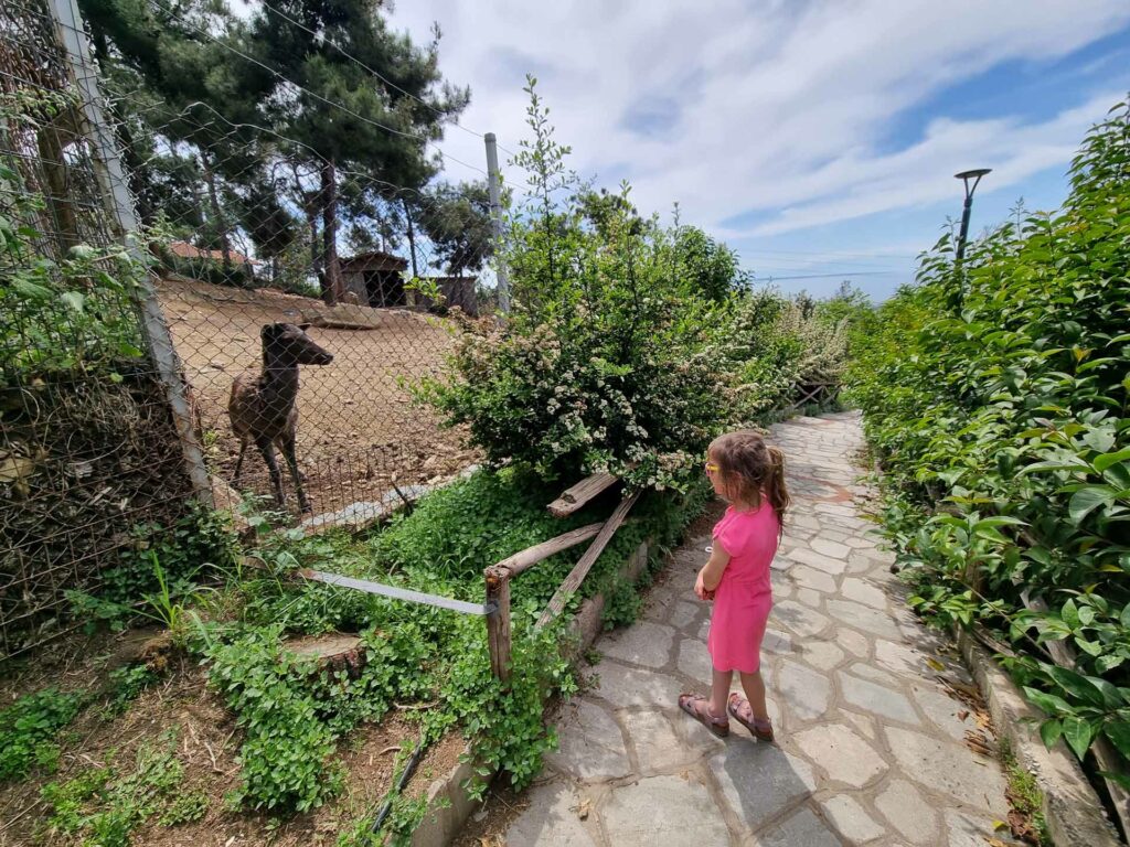 Thessaloniki Zoo dierentuin