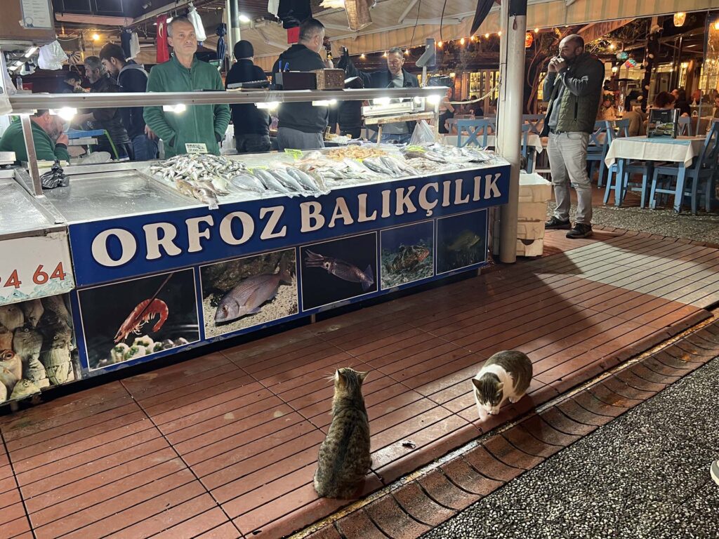 Vismarkt van Fethiye