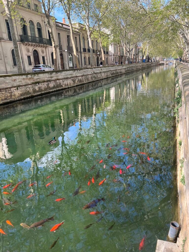 Nimes