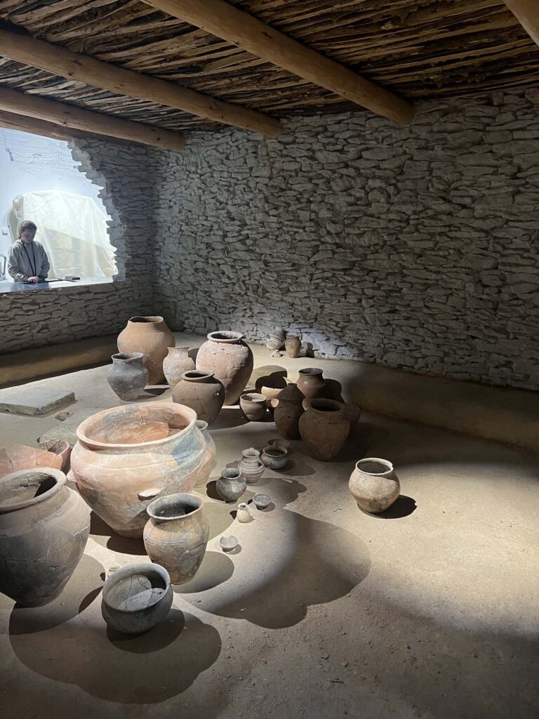 Musée de la Romanité