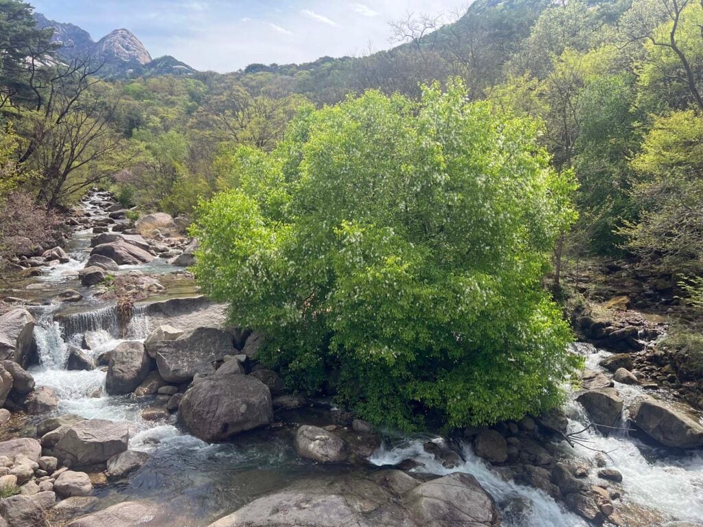 Bukhansan National Park-22