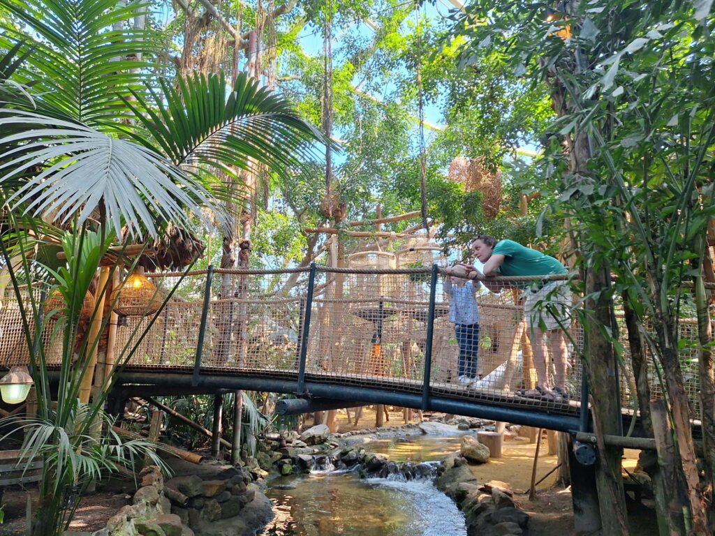 Center parcs het heijerbos jungle dome