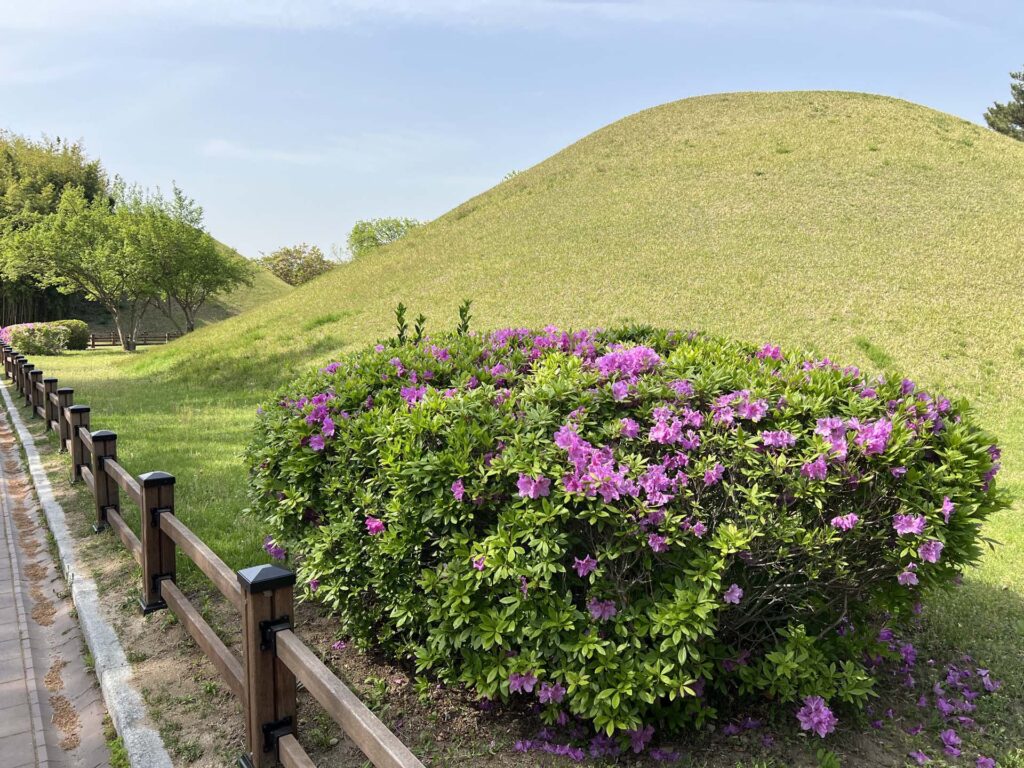 Daereungwon Tomb Complex