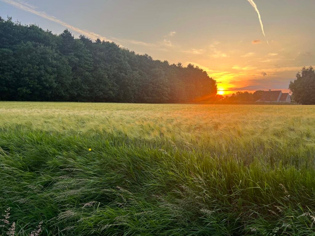 Leiestreek