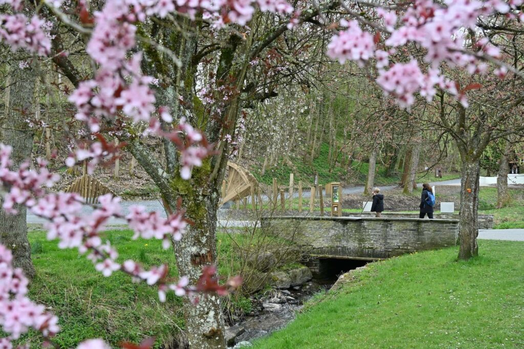 De leukste wandelingen bij Nutchel Les Ardennes met kinderen