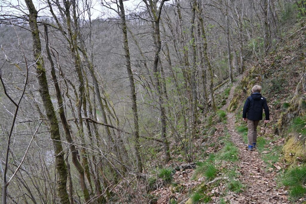De leukste wandelingen bij Nutchel Les Ardennes met kinderen