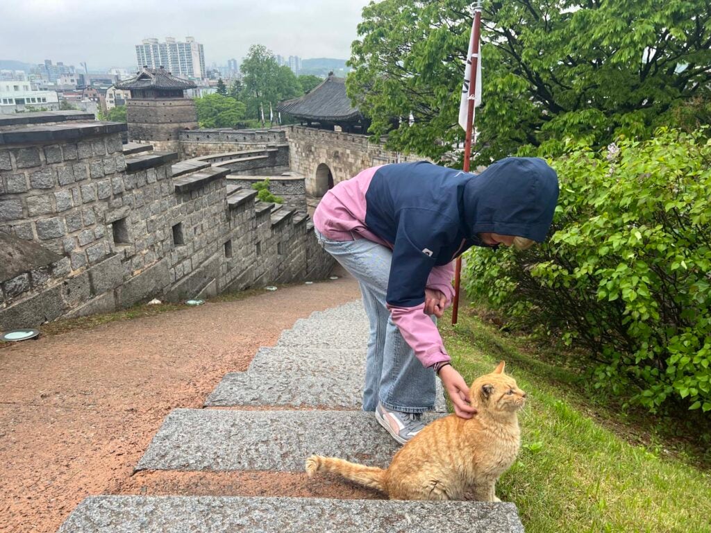 Hwaseong-fort