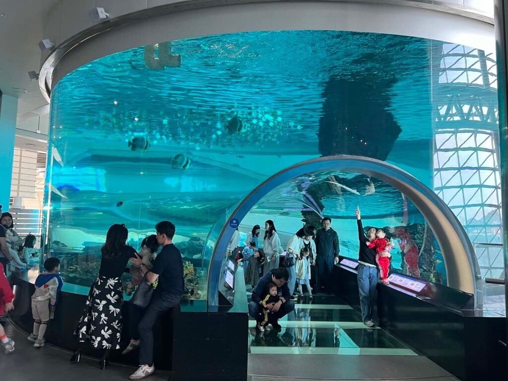 Het eiland Yeongdo