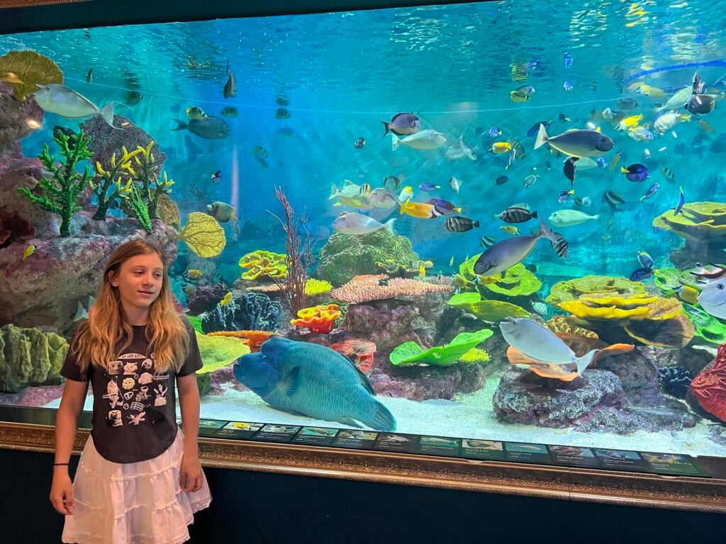Seoul aquarium