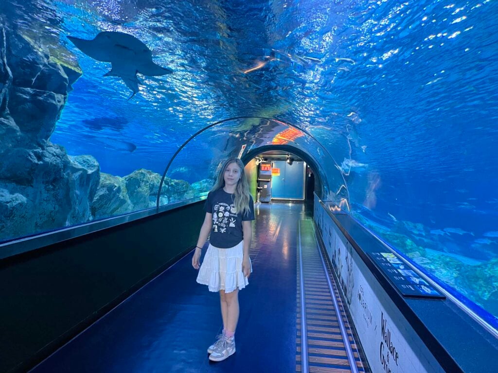 COEX Aquarium