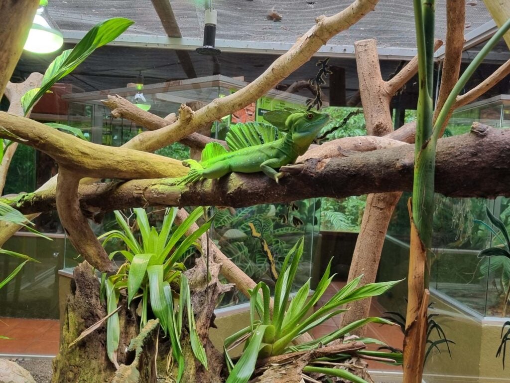 Selvatura Park