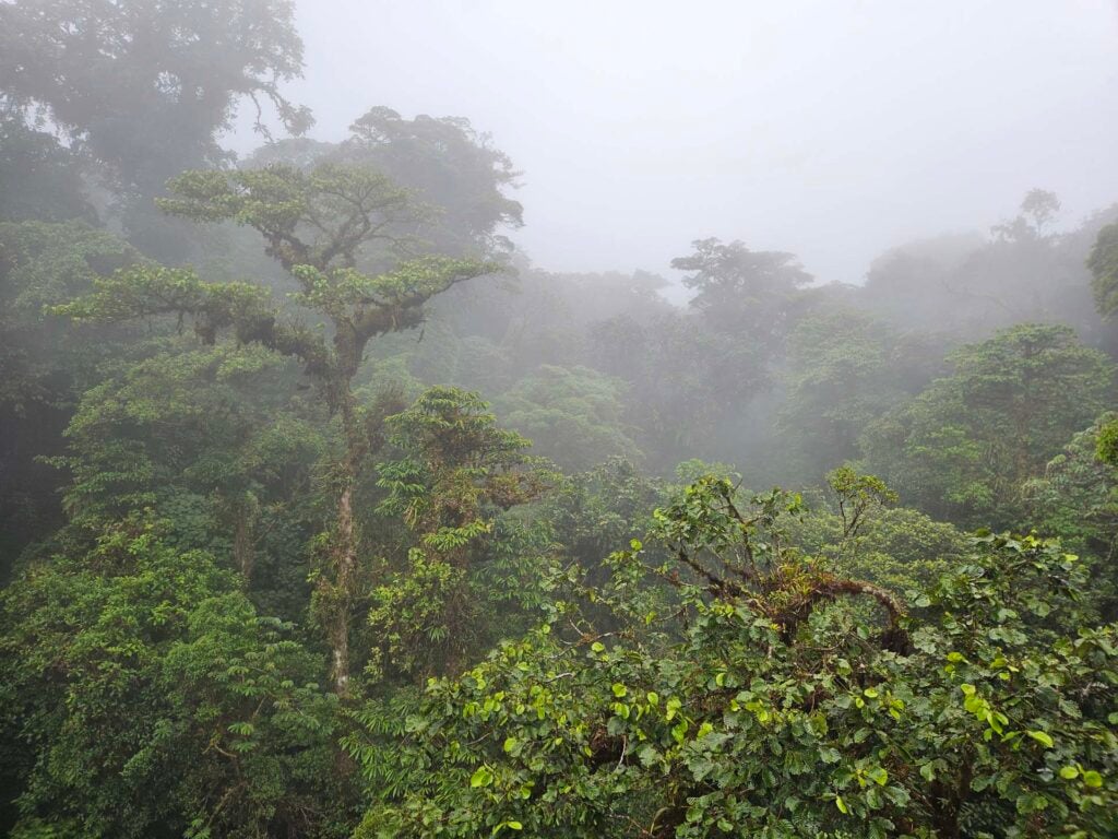 Selvatura Park