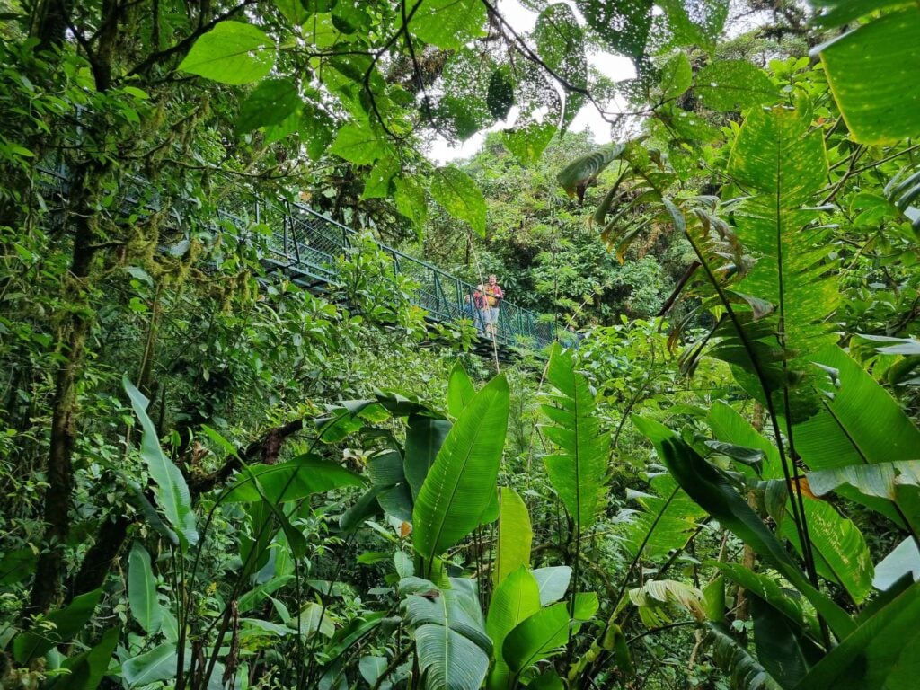 Selvatura Park
