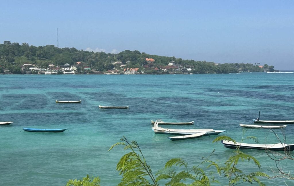 Mangrovebossen op Nusa Lembongan