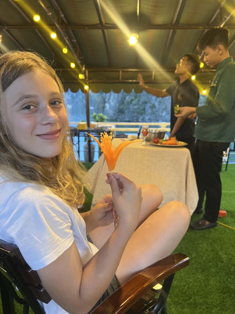 Bai Tu Long Bay renea cruise