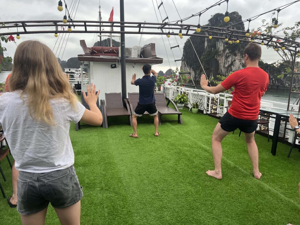 Bai Tu Long Bay renea cruise