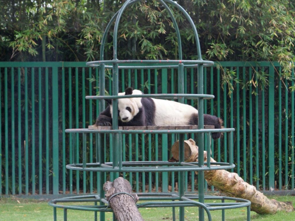 dierentuin mexico stad