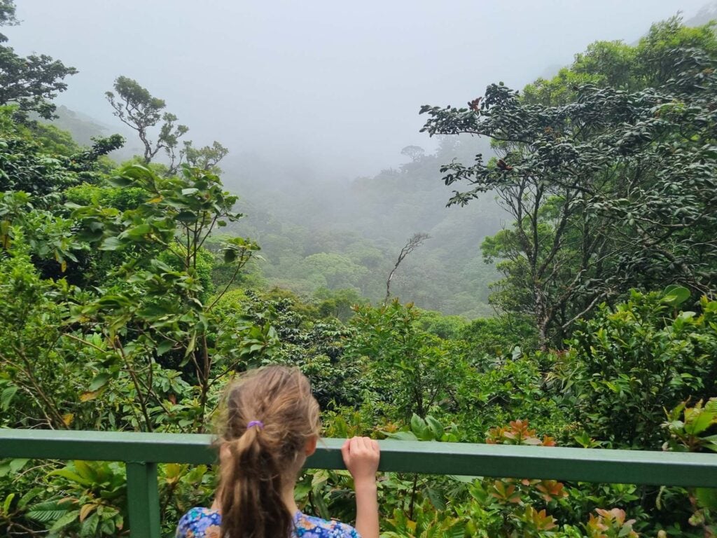 monteverde