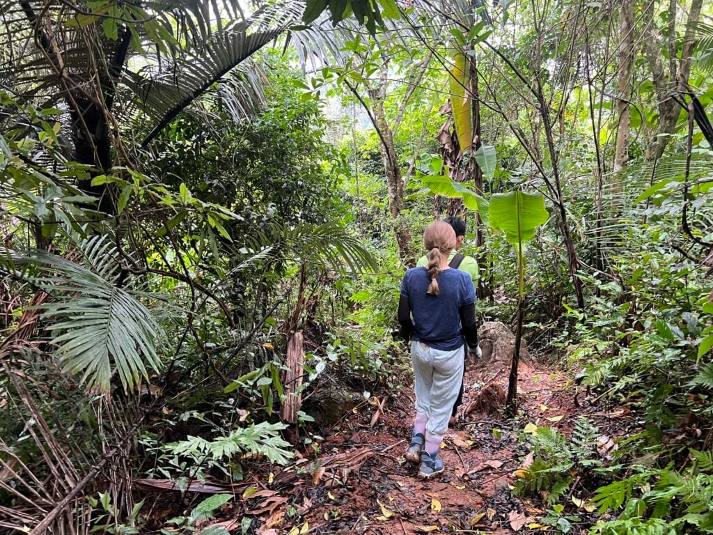 Phong Nha Oxalis Family Tour