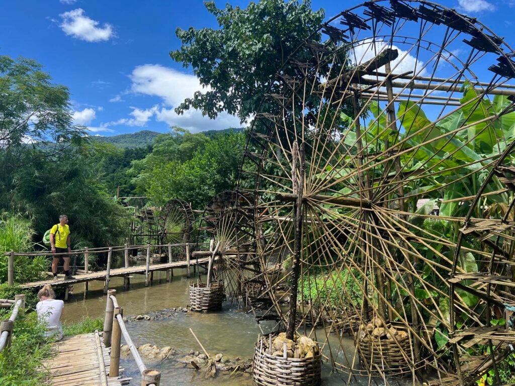 Bamboe waterraderen Puluong