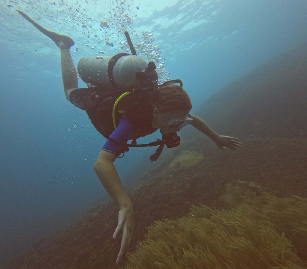 Snorkelen en duiken Cham Eilanden