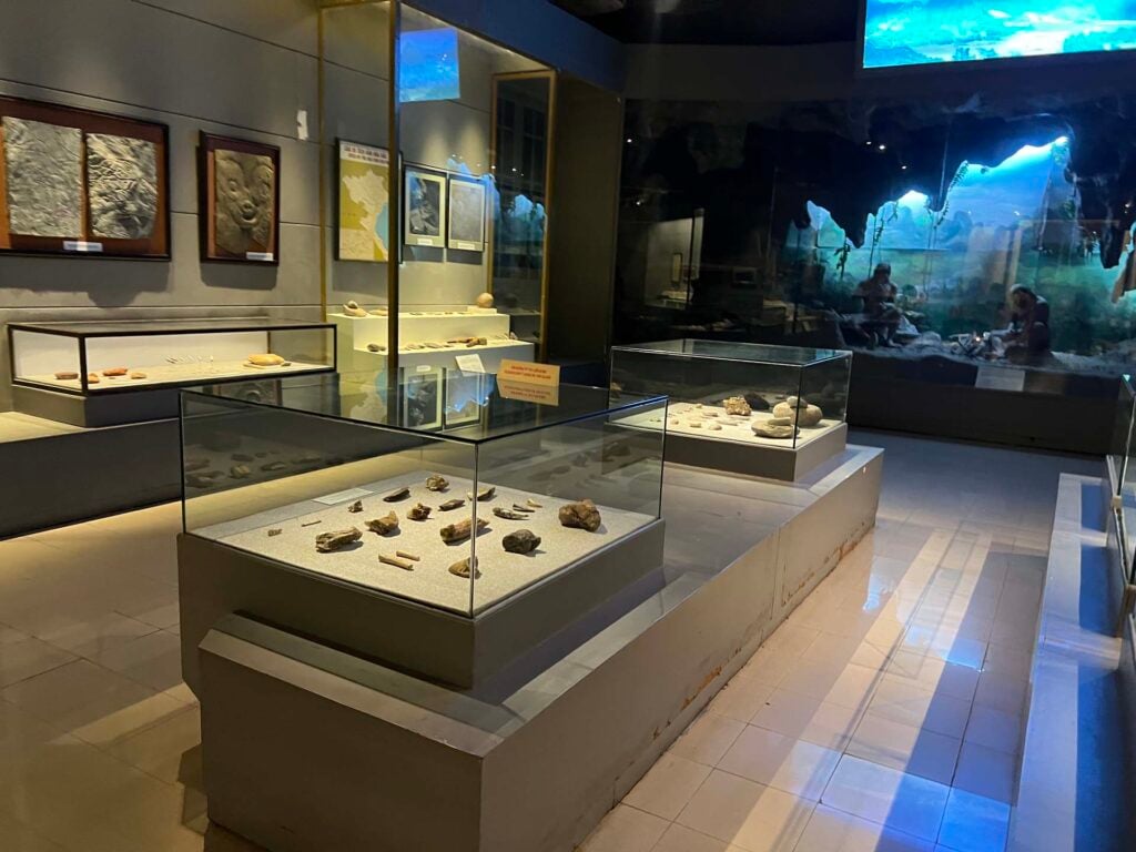 National Museum of Vietnamese History