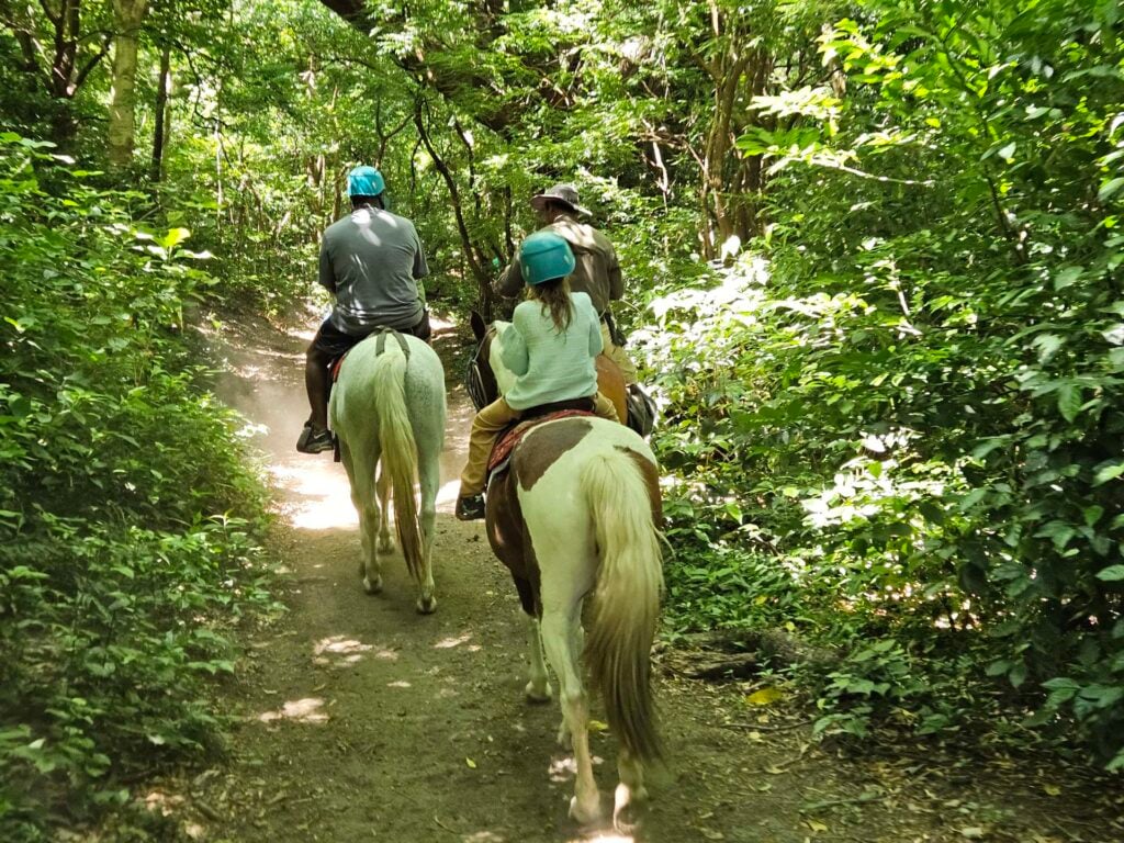 Paardrijden costa rica