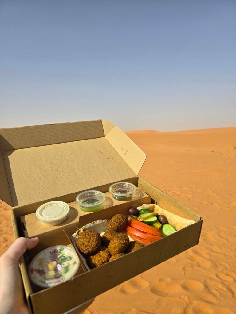 De woestijn net buiten Riyad