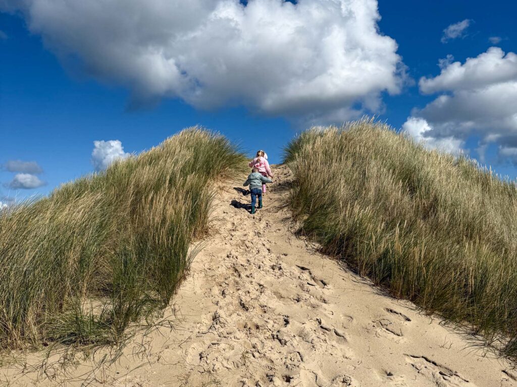 Boerenbed de zeekraal