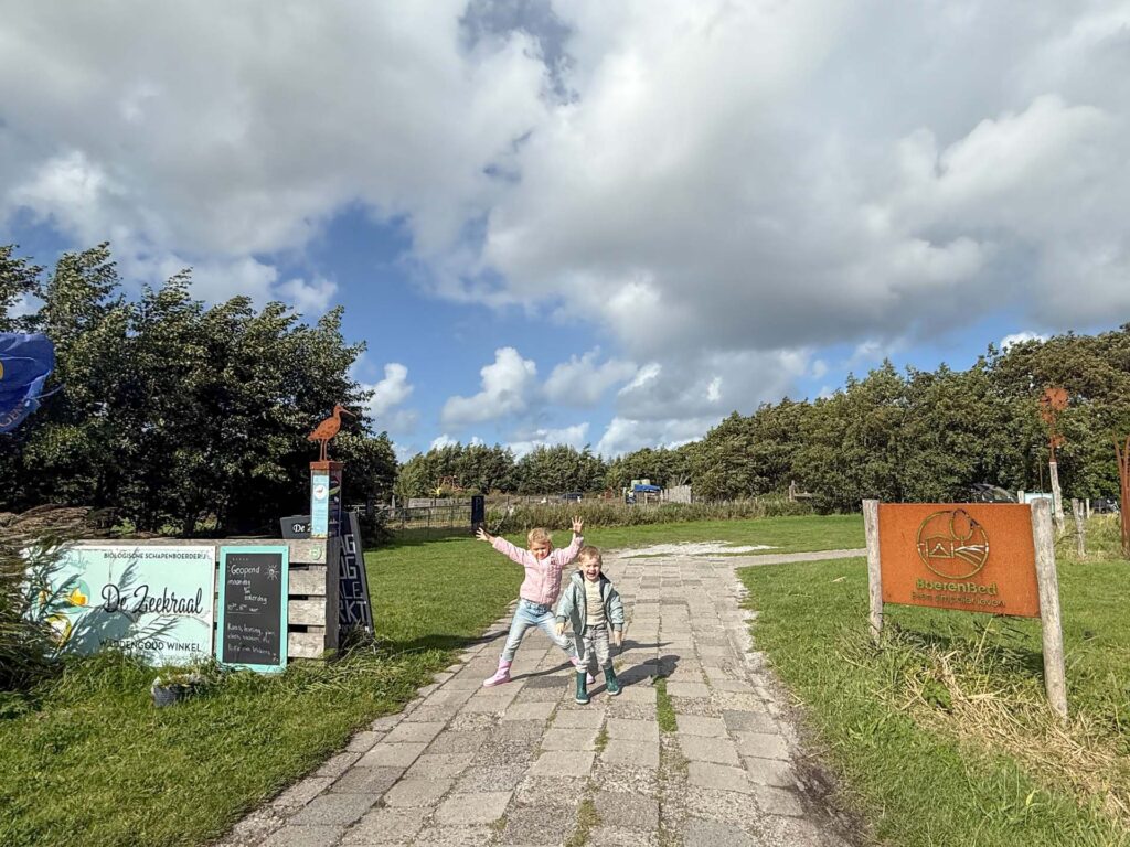 Boerenbed de zeekraal