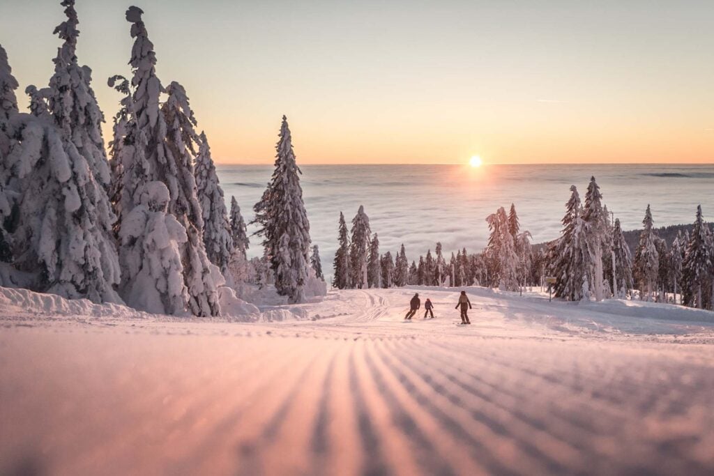 Skigebied Hochficht