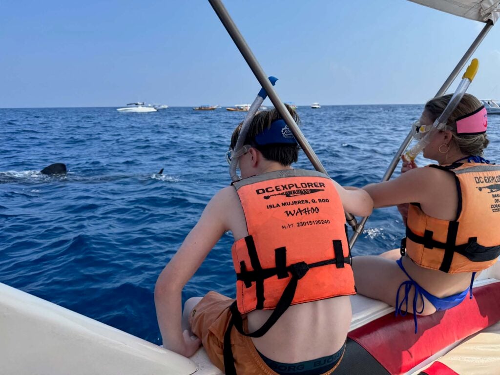 Snorkelen en zwemmen met walvishaaien Isla Mujeres
