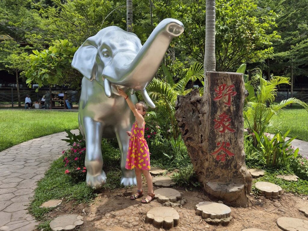 Jinghong Wild Elephant Valley 