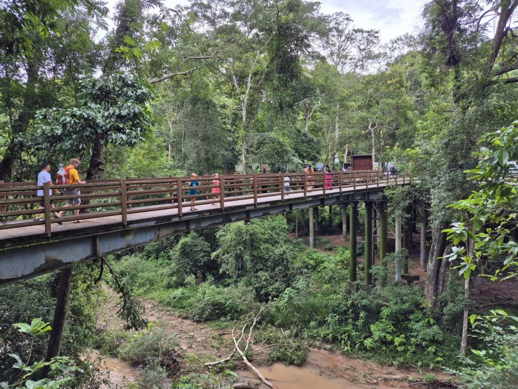 Jinghong Wild Elephant Valley 