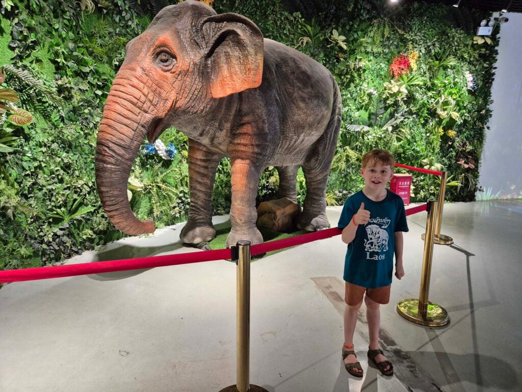 Jinghong Wild Elephant Valley 