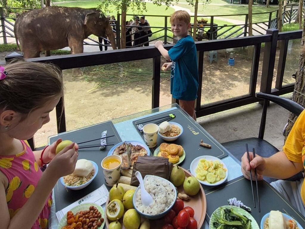 Jinghong Wild Elephant Valley 