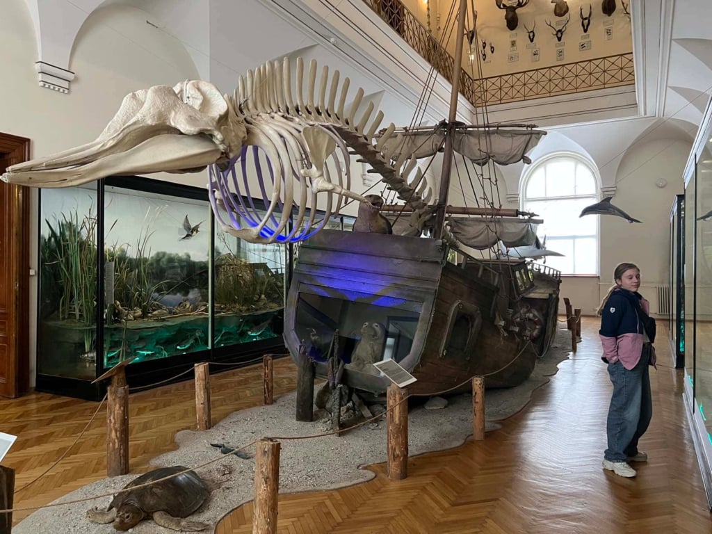 National Museum of Bosnia and Herzegovina