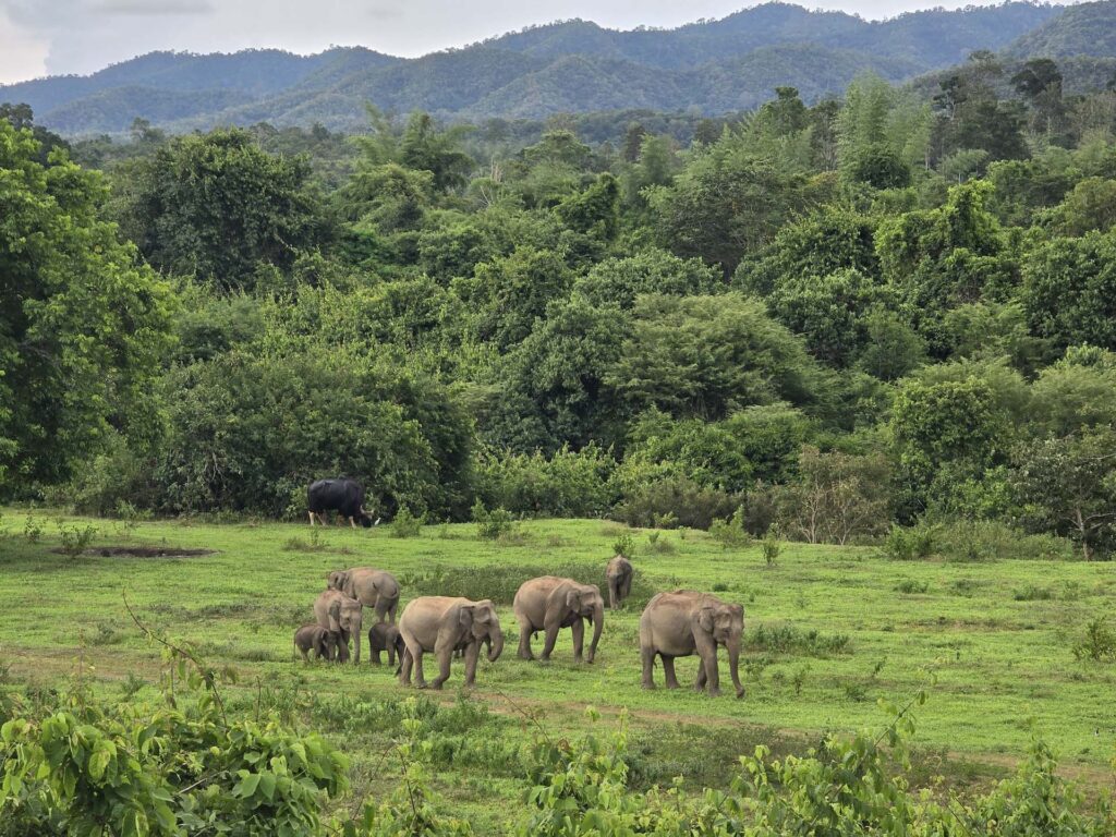 Kui Buri National Park